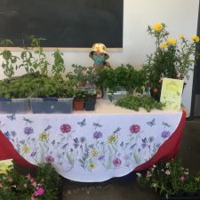 Davanna’s Herb Garden